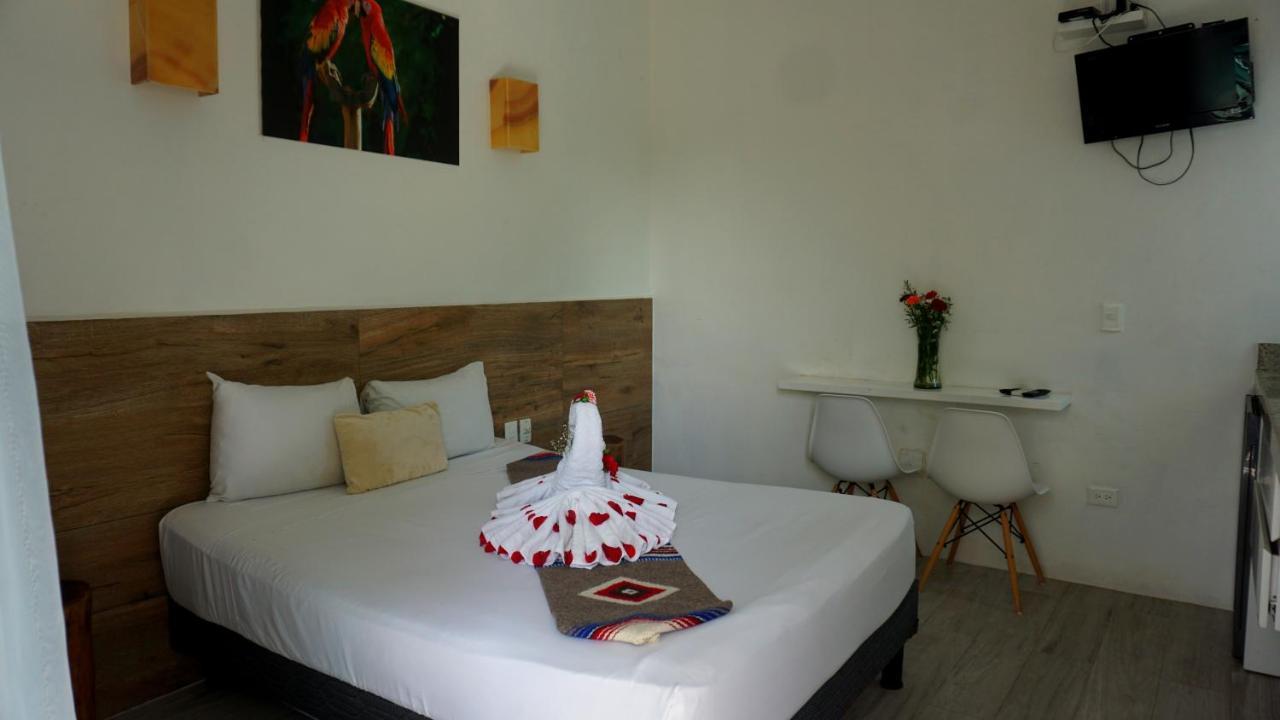 Selva Y Mar Apart Hotel プレヤデルカーメン エクステリア 写真