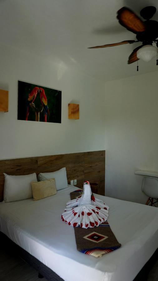 Selva Y Mar Apart Hotel プレヤデルカーメン エクステリア 写真