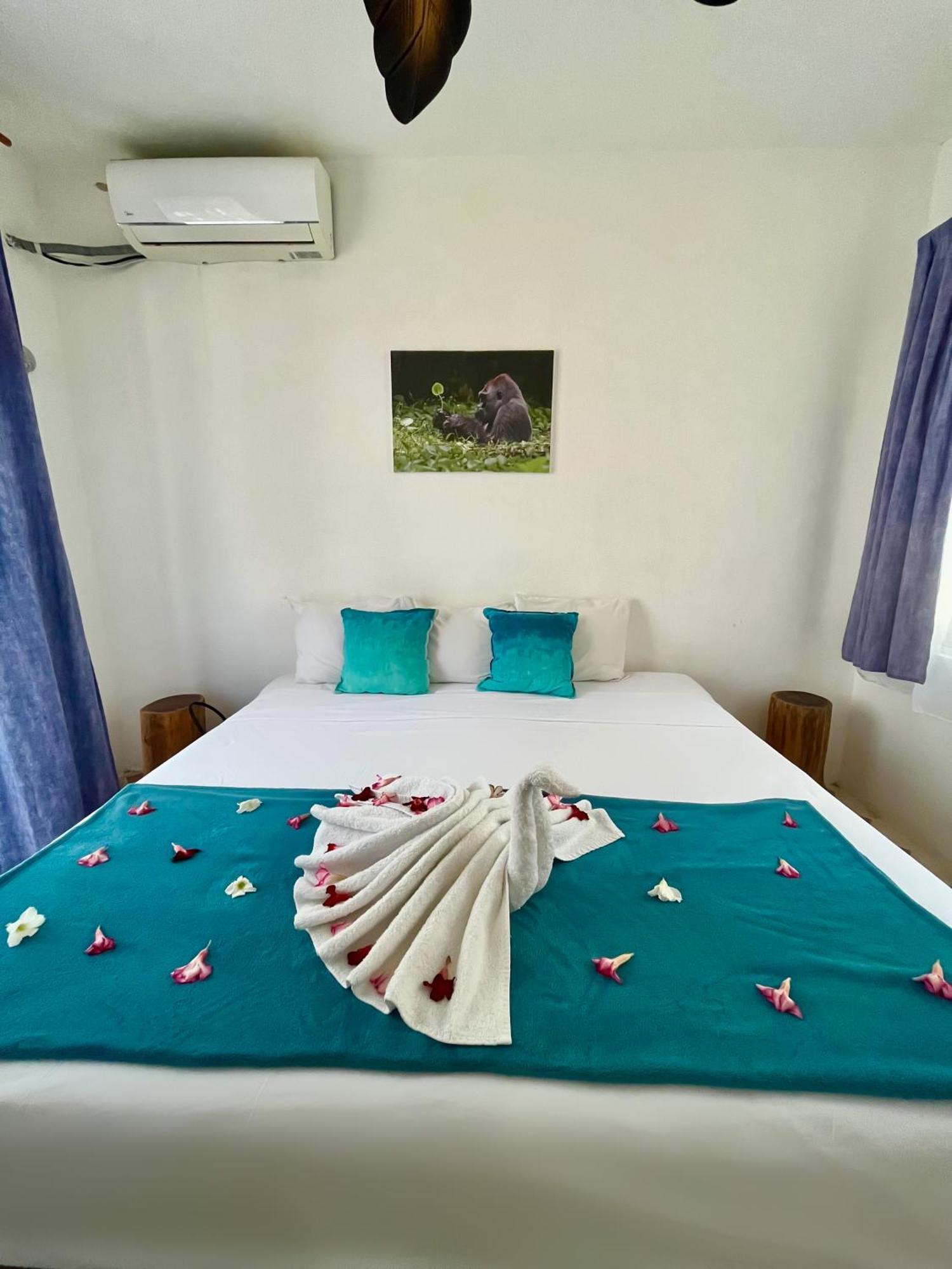Selva Y Mar Apart Hotel プレヤデルカーメン エクステリア 写真
