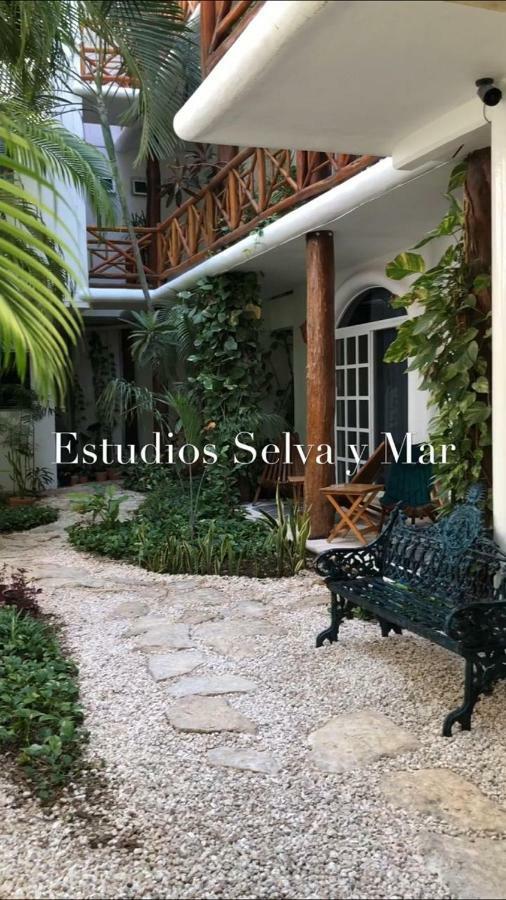Selva Y Mar Apart Hotel プレヤデルカーメン エクステリア 写真